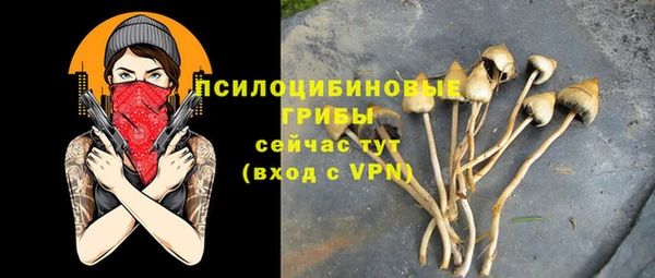MDMA Бородино