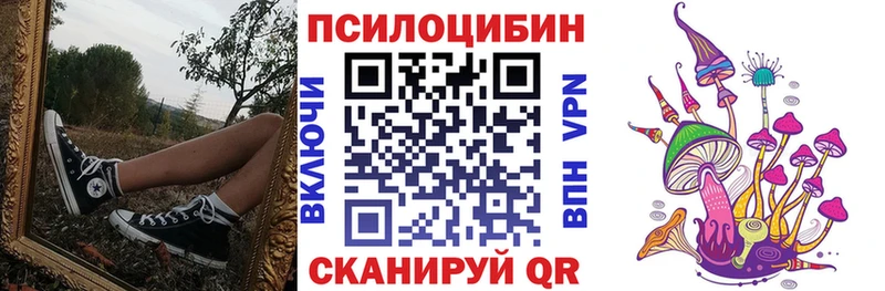 Купить где  Перевоз  Галлюциногенные грибы GOLDEN TEACHER 
